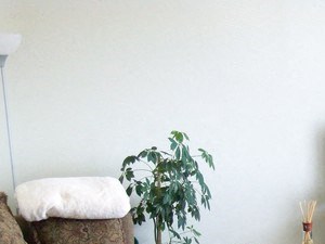 Brookfield Apartments | Living Room
